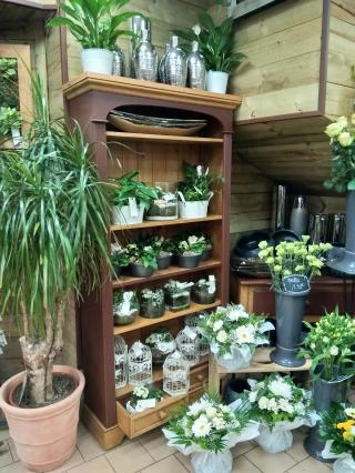 Fleuriste Au Petit Jardinier 0