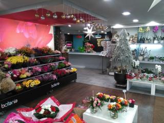 Fleuriste Botania - PAU 0