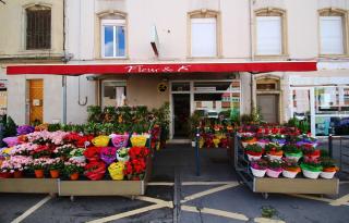 Fleuriste FLEUR et K 0