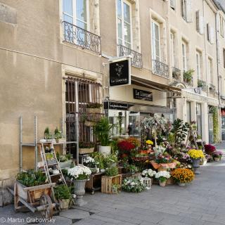 Fleuriste LE LISERON 0