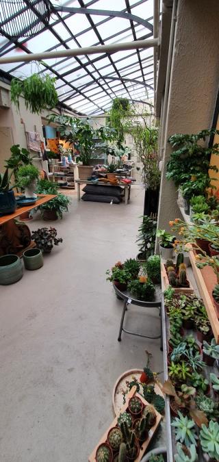 Fleuriste Dolce Vita Shop à Mulhouse 0