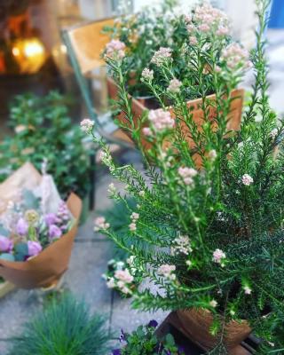 Fleuriste Bluette fleuriste 0