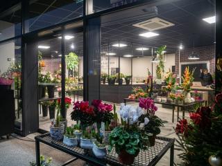 Fleuriste Pas Comme Ailleurs Viriat la Neuve 0