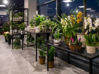 Fleuriste Pas Comme Ailleurs Viriat la Neuve 0