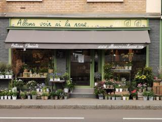 Fleuriste Allons Voir Si La Rose 0