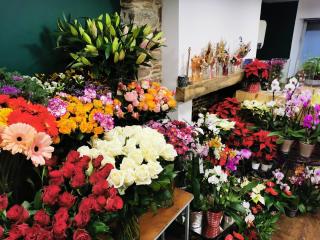 Fleuriste Les 4 saisons de Saint James 0