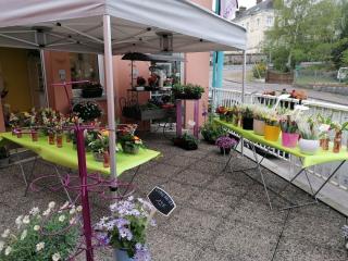 Fleuriste Les Violettes 0