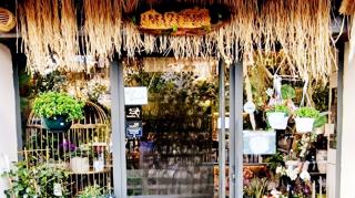 Fleuriste Amazonie 0