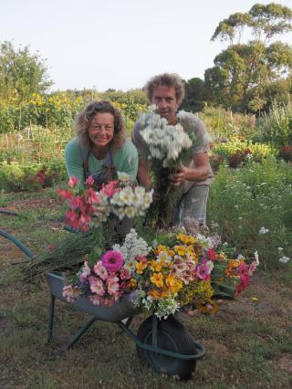 Fleuriste Au petit bouquet Ile d'Yeu 0