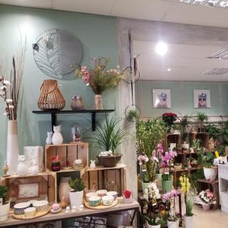 Fleuriste Maison Bazerque, Fleuriste 0