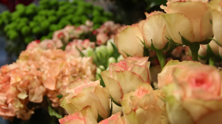 Fleuriste Nedellec-Rivière fleuriste depuis 1896 1