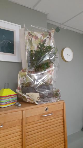 Fleuriste Infiniment Fleurs | Artisan Fleuriste 0