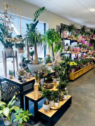 Fleuriste Monceau Fleurs 0