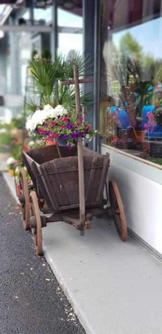 Fleuriste Mlesfleurs 0