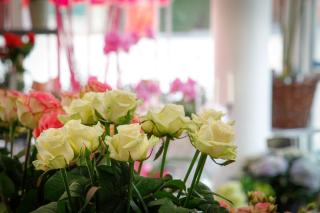 Fleuriste Blanc Bleu Rêve 0