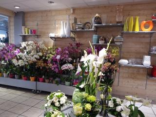 Fleuriste Marché aux Fleurs Beaumont 0