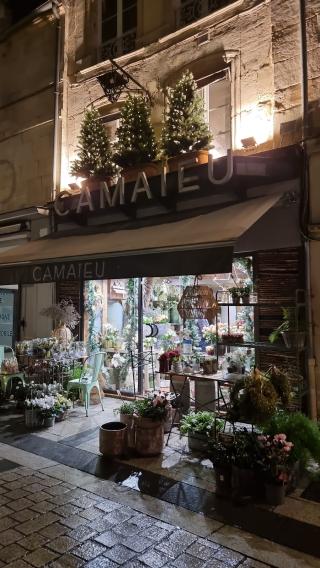 Fleuriste Camaïeu L’atelier 0