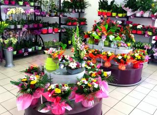 Fleuriste MONCEAU FLEURS FLEURY-SUR-ORNE 0