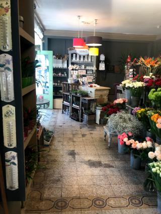 Fleuriste Fleurs d'Oranger (anciennement Flore & Sens) 1