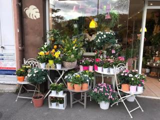 Fleuriste L Atelier Du Fleuriste 0
