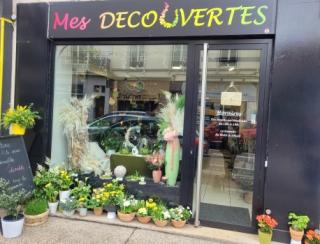 Fleuriste Mes DECOuVERTES Roanne 0
