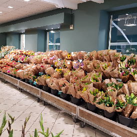 Fleuriste Le Jardin des Fleurs 1