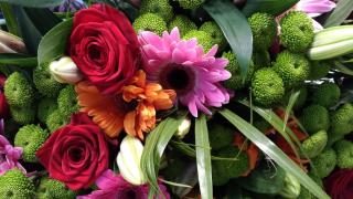 Fleuriste FLEURS DU TEMPS 2
