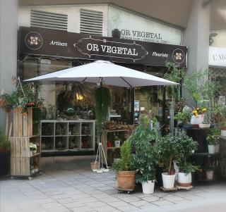 Fleuriste OR VEGETAL 0