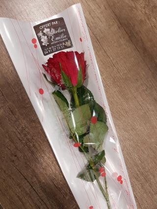 Fleuriste L'atelier d'Émilie | Fleuriste Marseille 1