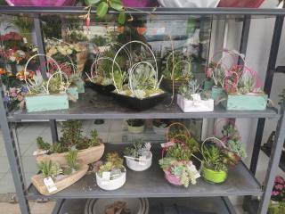 Fleuriste Fleurissimo 0