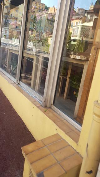 Fleuriste Fleurs D'Azur 0