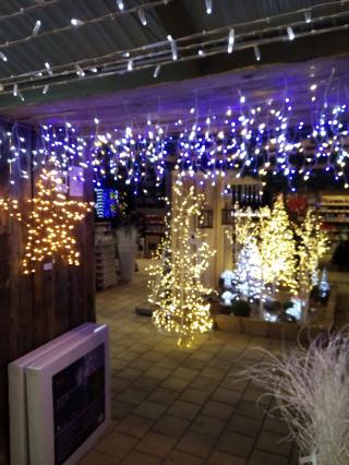 Fleuriste botanic Mulhouse 0