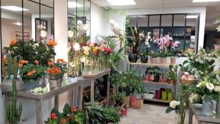 Fleuriste Menthe Poivrée 1