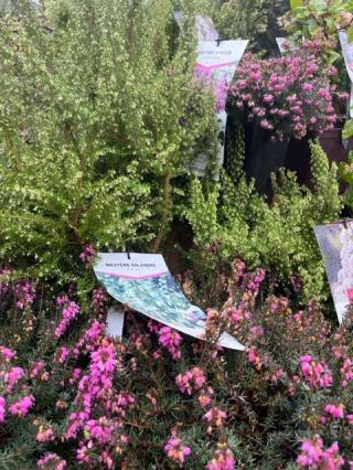 Fleuriste Truffaut 0