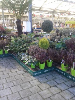 Fleuriste Truffaut 0