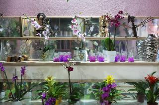 Fleuriste Abelia Fleurs 2