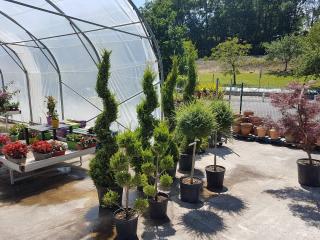 Fleuriste Jardinerie La Main Verte 0