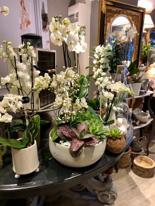 Fleuriste Parenthèse Chic Fleuriste Caudéran 0