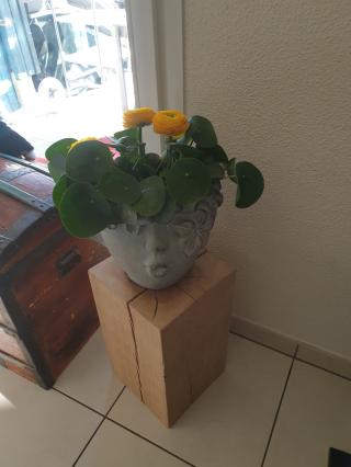 Fleuriste Parenthèse Chic Fleuriste Caudéran 0