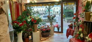 Fleuriste Odièvre Guy 0