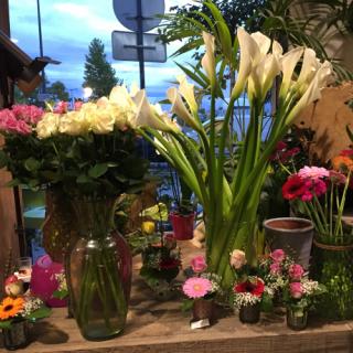 Fleuriste Atelier Hortensia et Marguerite, Fleuriste Angers 0