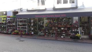 Fleuriste Au Cyclamen - Fleuriste Remiremont 0