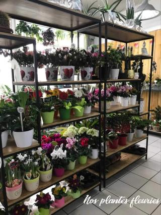 Fleuriste Jumbo Fleurs 0