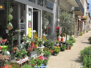 Fleuriste LUGNY VERT DES FLEURS 0