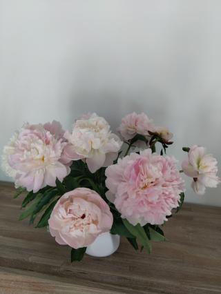 Fleuriste Les Fleurs de Marcel 0