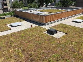 Fleuriste Des Racines & Des Murs - L'Arrosoir 0