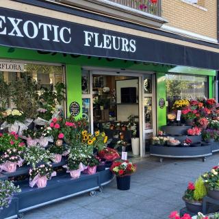 Fleuriste EXOTIC FLEURS 0