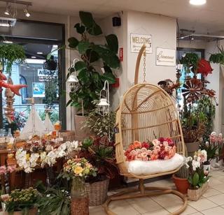 Fleuriste Violette Et Pimprenelle 0