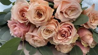 Fleuriste Mamy Blue 0