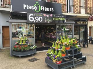 Fleuriste PLACE O FLEURS 0